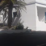 3 Palmeras De *