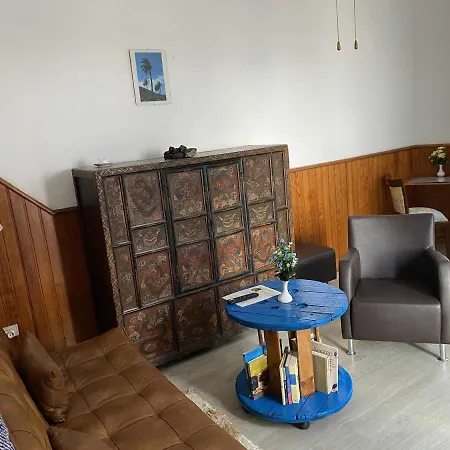 3 Palmeras De * Arrecife (Lanzarote)