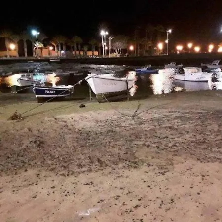 3 Palmeras De * Arrecife (Lanzarote)