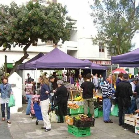 3 Palmeras De Arrecife (Lanzarote)