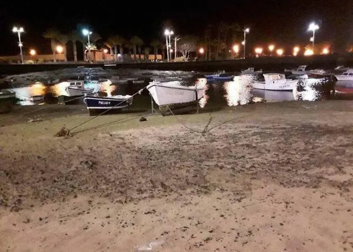 3 Palmeras De * Arrecife (Lanzarote)