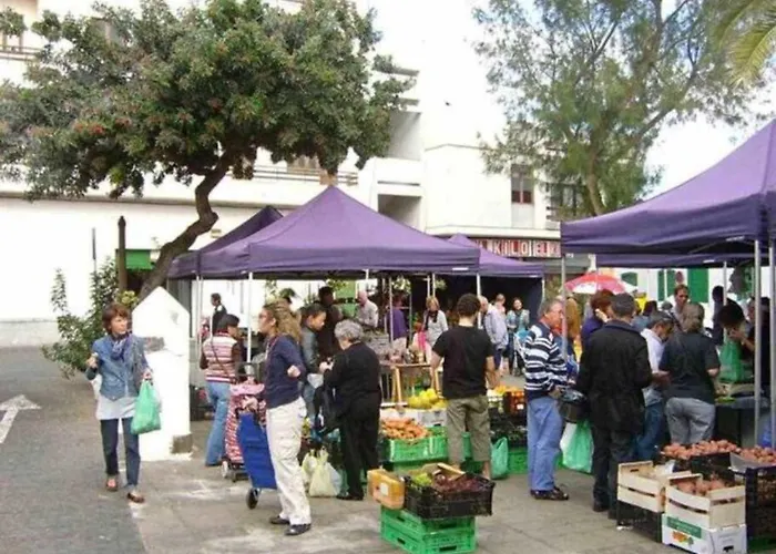 3 Palmeras De Arrecife (Lanzarote)